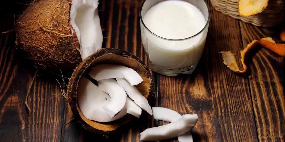 Recettes Avec Du Lait De Coco | FoodPal