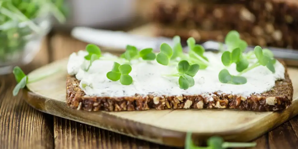 Vollkornbrot mit Kräuterfrischkäse - Rezept | FoodPal